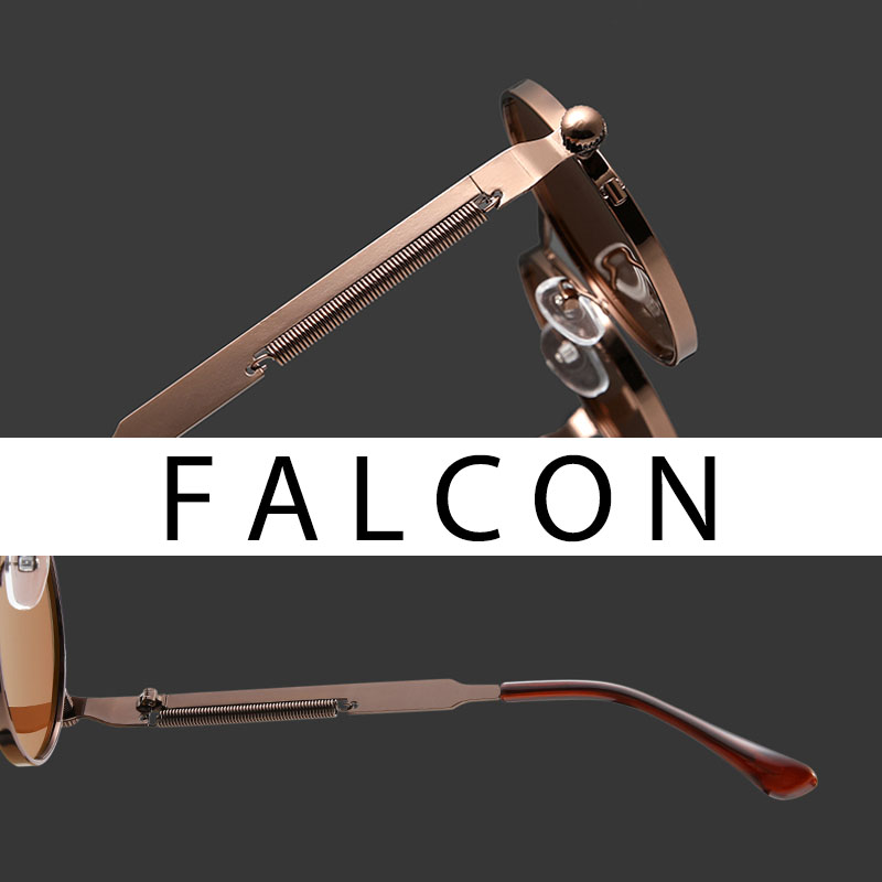 Πολωμένα γυαλιά ηλίου Falcon
